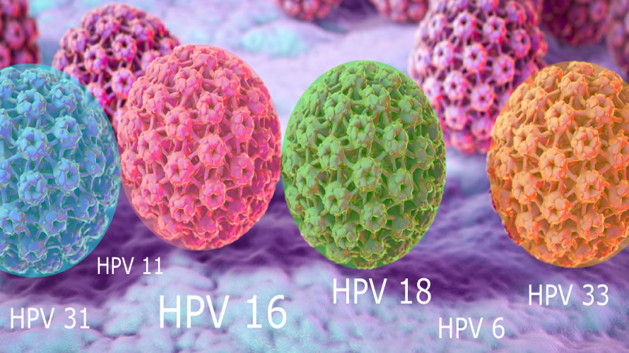 HPV infekcije - vakcinacija i klirens HPV-a visokog rizika imunomodulatorima