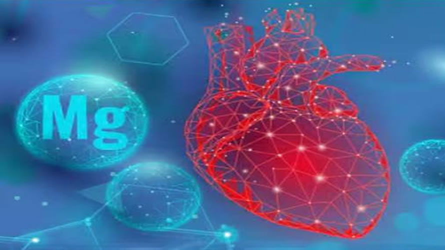 Uloga magnezijuma i vitamina B kod kardioloških pacijenata